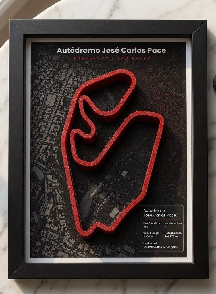 F1 Interlagos Circuit Track 3D